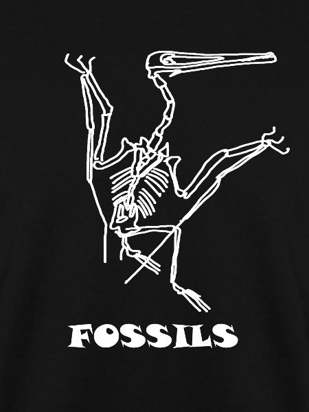 Dinosaurs, fossils, paleontologist,