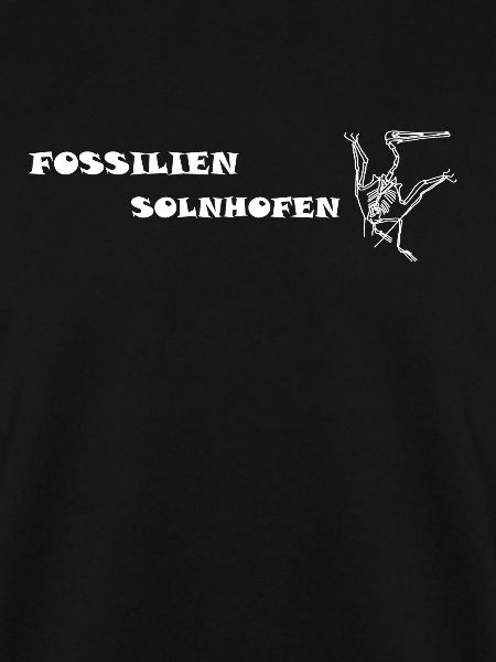 Dinosaurs, fossils, paleontologist,