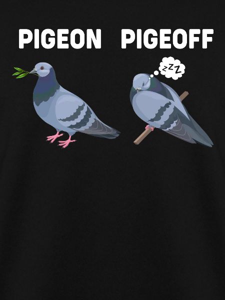 Lustige Tiere Pigeon Taube