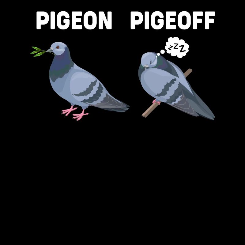 Lustige Tiere Pigeon Taube
