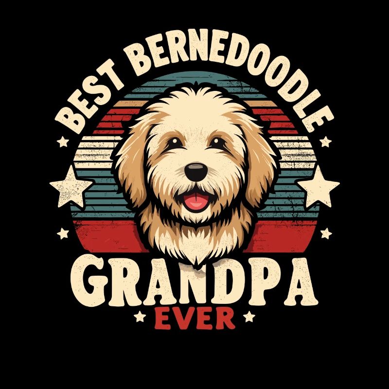 Bernedoodle Hund Opa