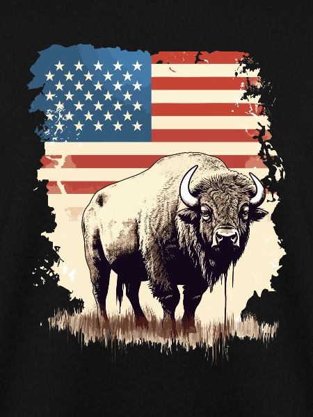 American Bison
