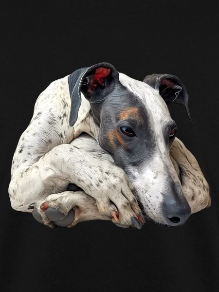 Whippet