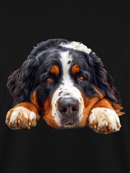 Bernese Mountain Dog