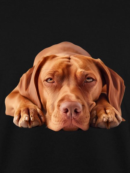 Vizsla