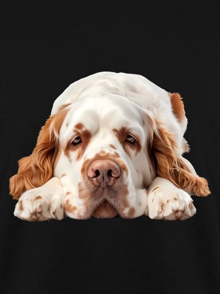 Clumber Spaniel