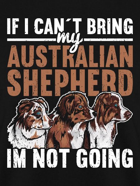 Australian Shepherd