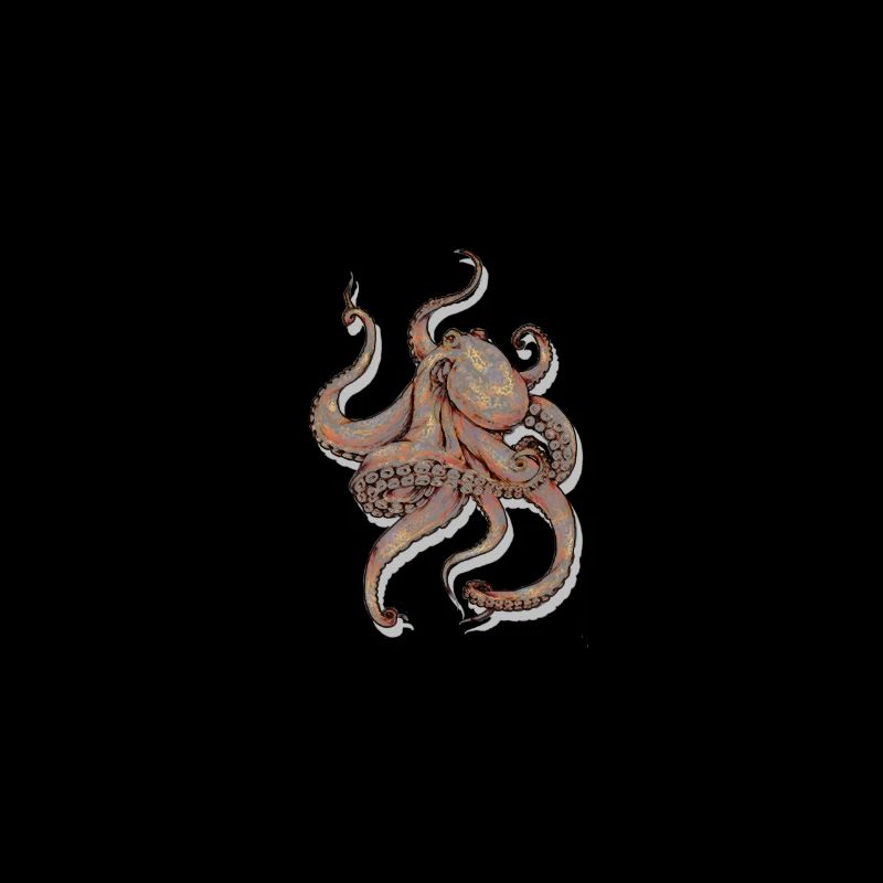 Octopus Octopoda Cadeaux de calmars seiches