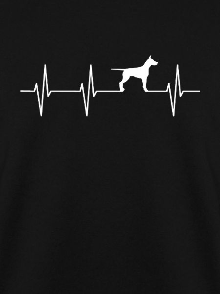 Hund Hundeschule Hunde