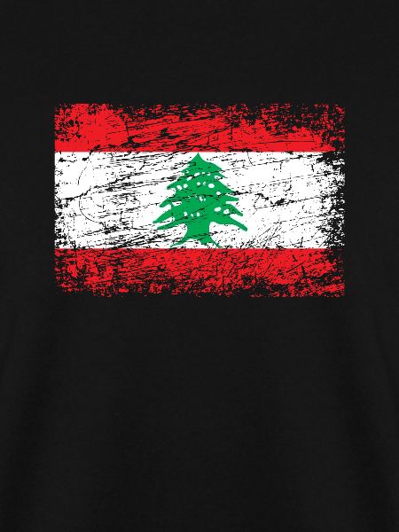 Libanon libanesisch Flagge Fahne