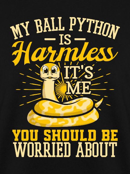 Königspython Schlange Python