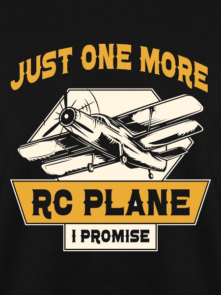 Modellbau Flugzeug RC Modellflieger