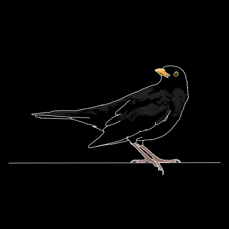 Blackbird on roof