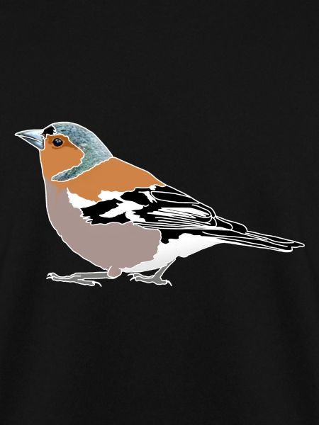 Buchfink