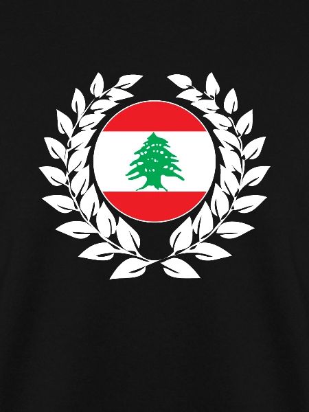 Libanon libanesisch Flagge Fahne