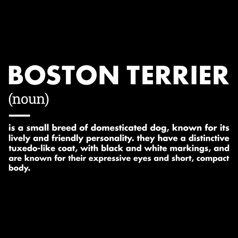 Boston Terrier Definition