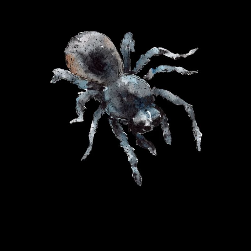 Vogelspinne Tarantel Tarantula