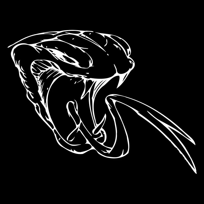 cobra - cobra - poison snake