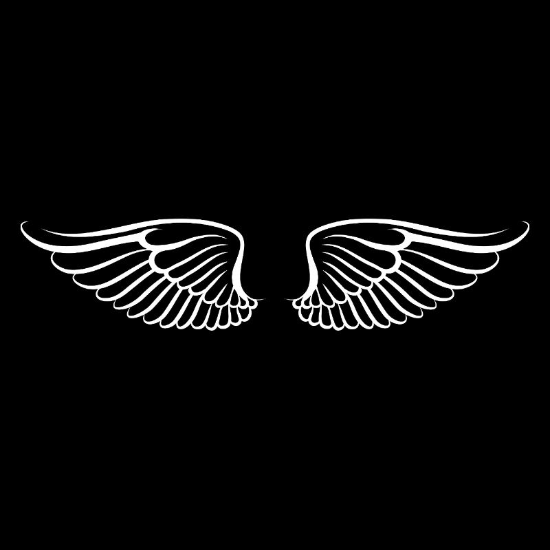 Les ailes