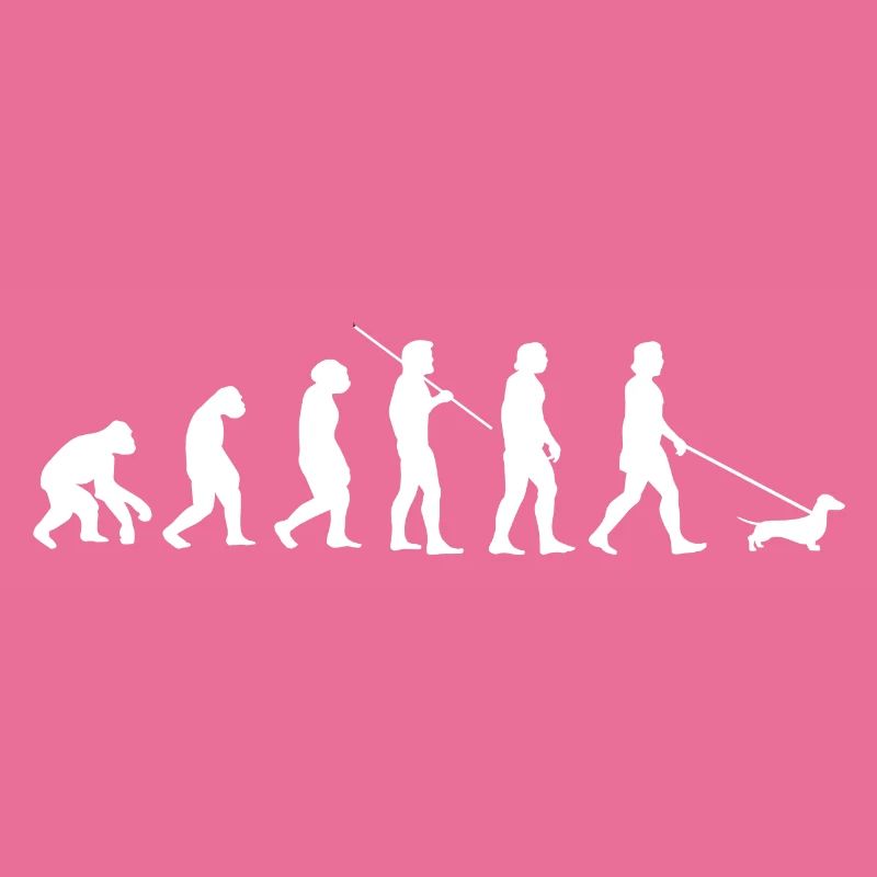 Idée cadeau teckel évolution teckel teckel