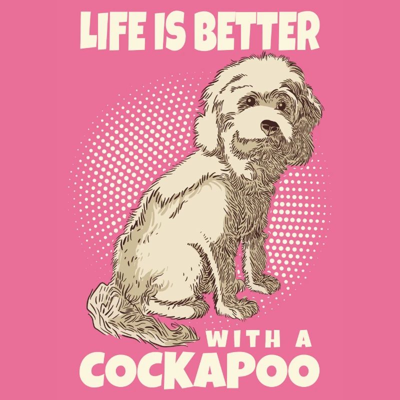 Cockapoo