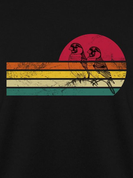 Zebra Finch Zebra Finches