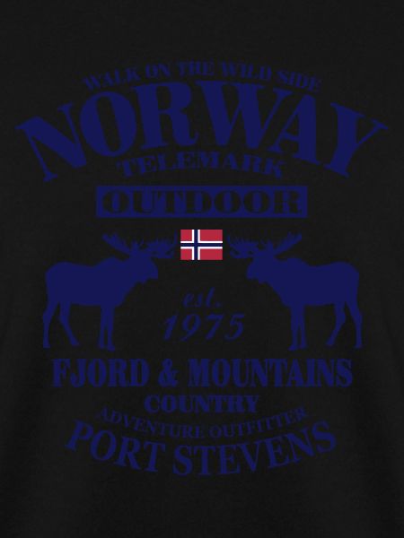 Moose - Telemark Norway