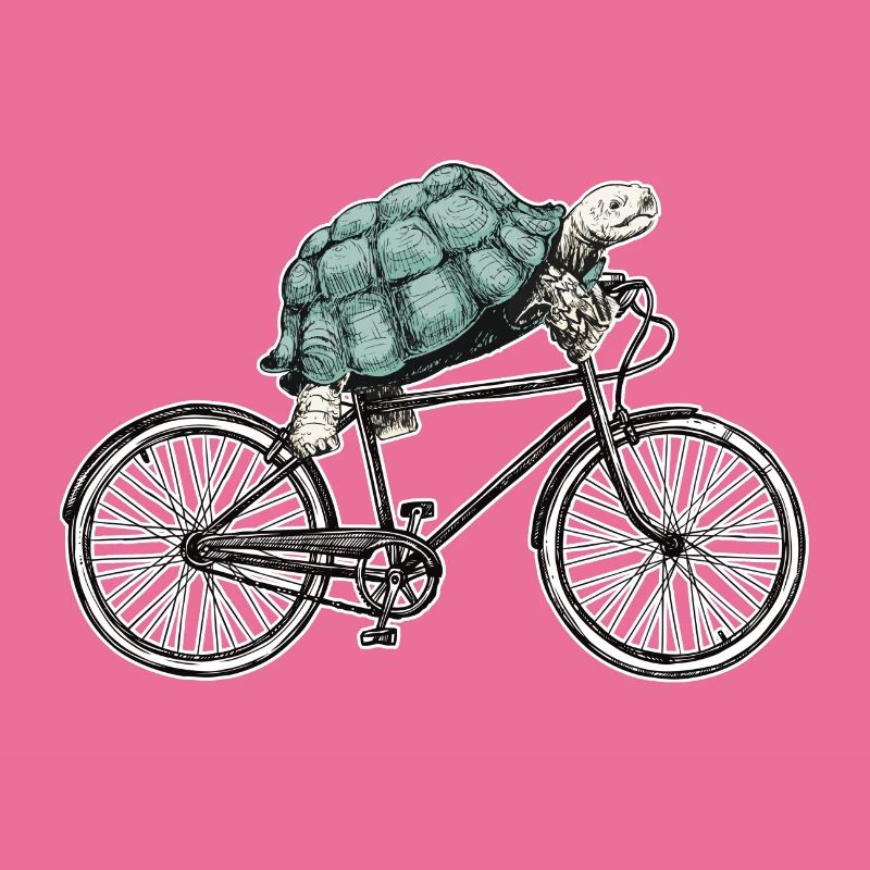 Fahrrad Schildköte Rennrad Geschenk