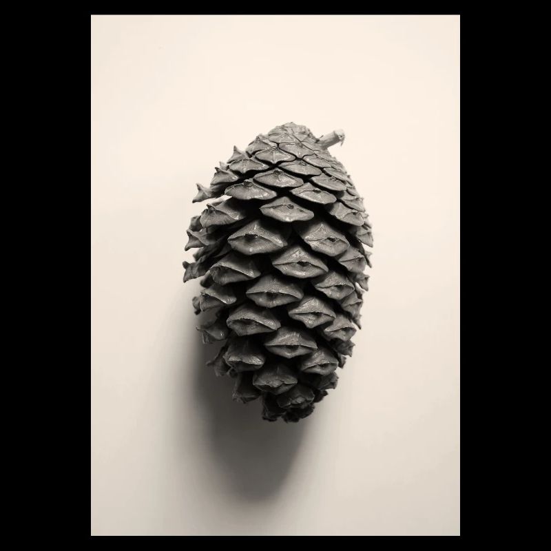 Pinecone