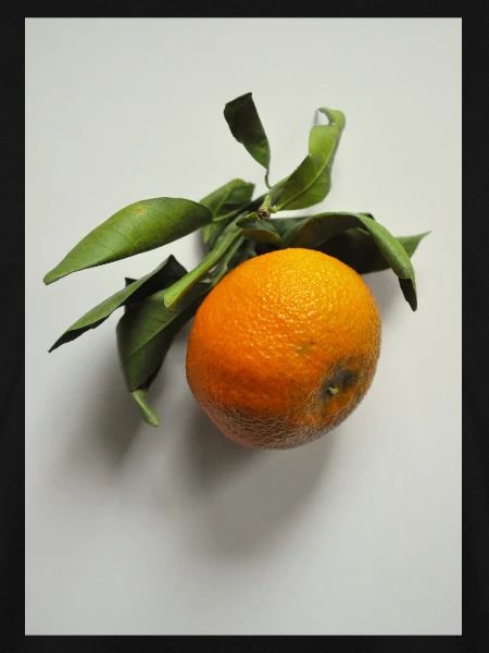 Mandarine