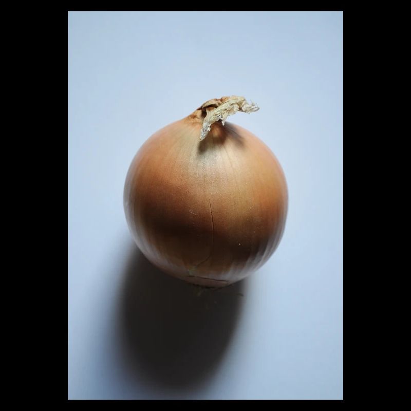 Zwiebel