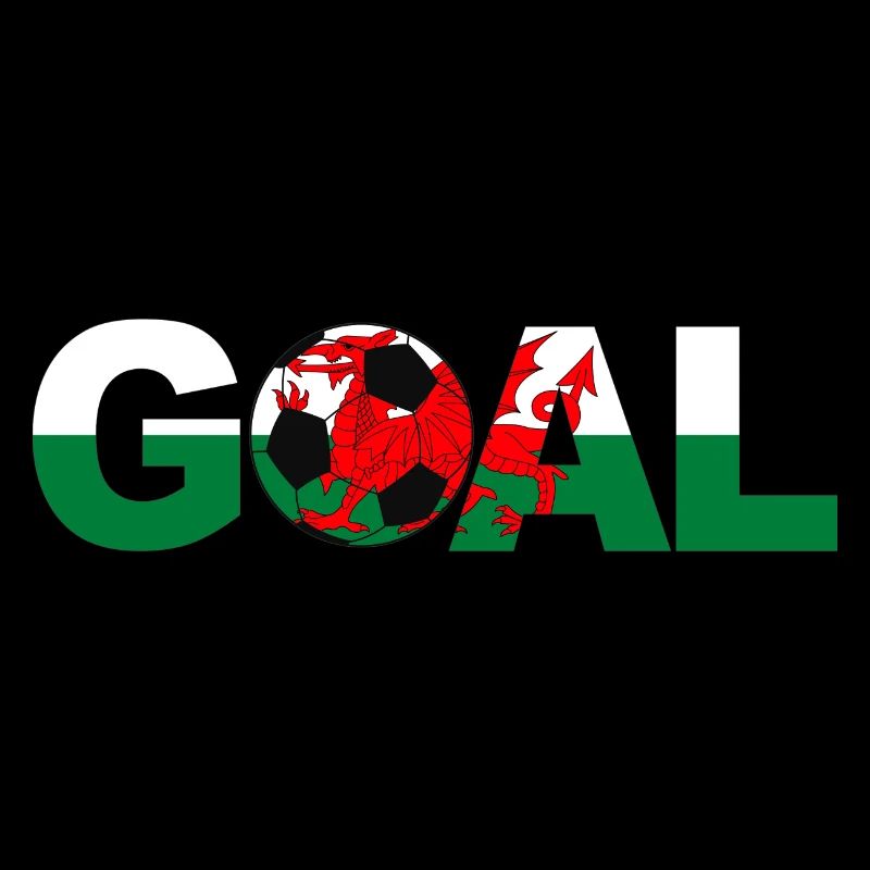 Fußball Wales Tor