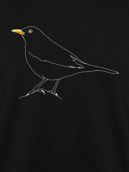 Amsel
