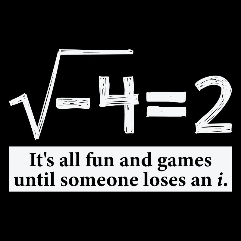 Someone Loses An i Funny Math Gift for Pi day