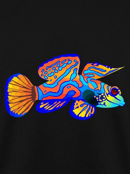 Psychedelischer Mandarinfisch: Ozeanische Kunst