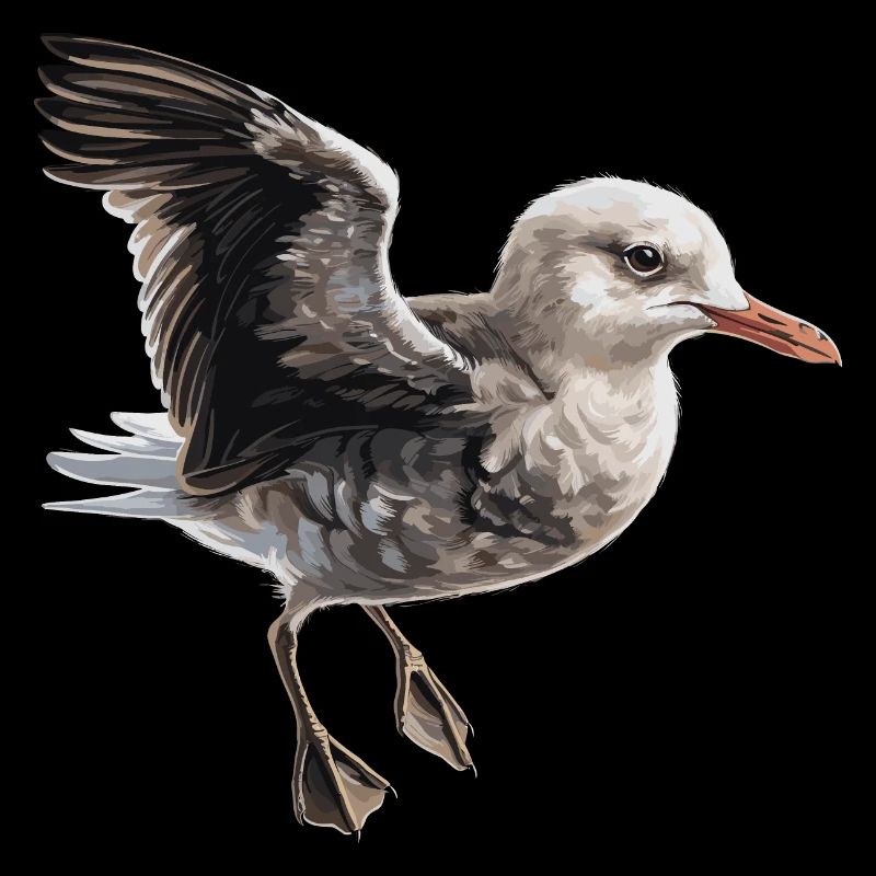 Baby Möwe Seevogel
