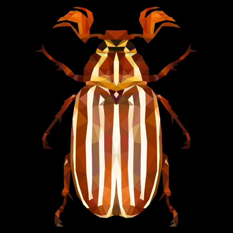 Coléoptère de la pastèque