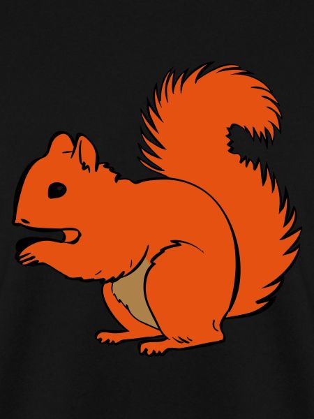 squirrel