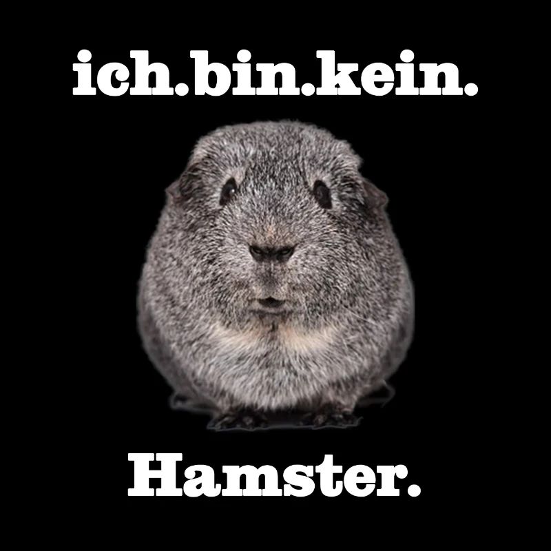 Meerschweinchen