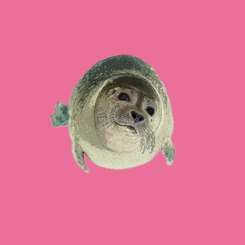 Robbe