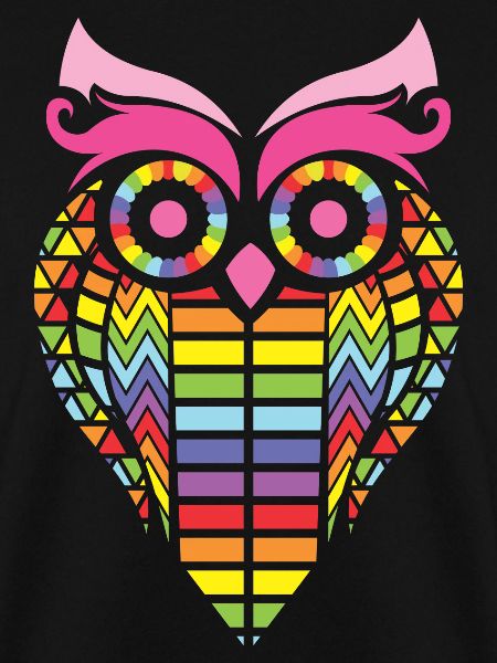 RAINBOW OWL