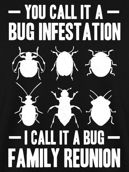 Insekten sammeln