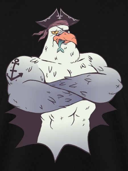 Pirate seagull