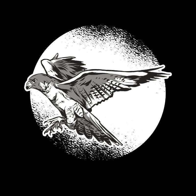 Falknerei Beizjagd Greifvogel Falkner Grafik