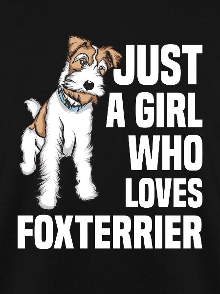 Foxterrier Drahthaar | Foxterrier