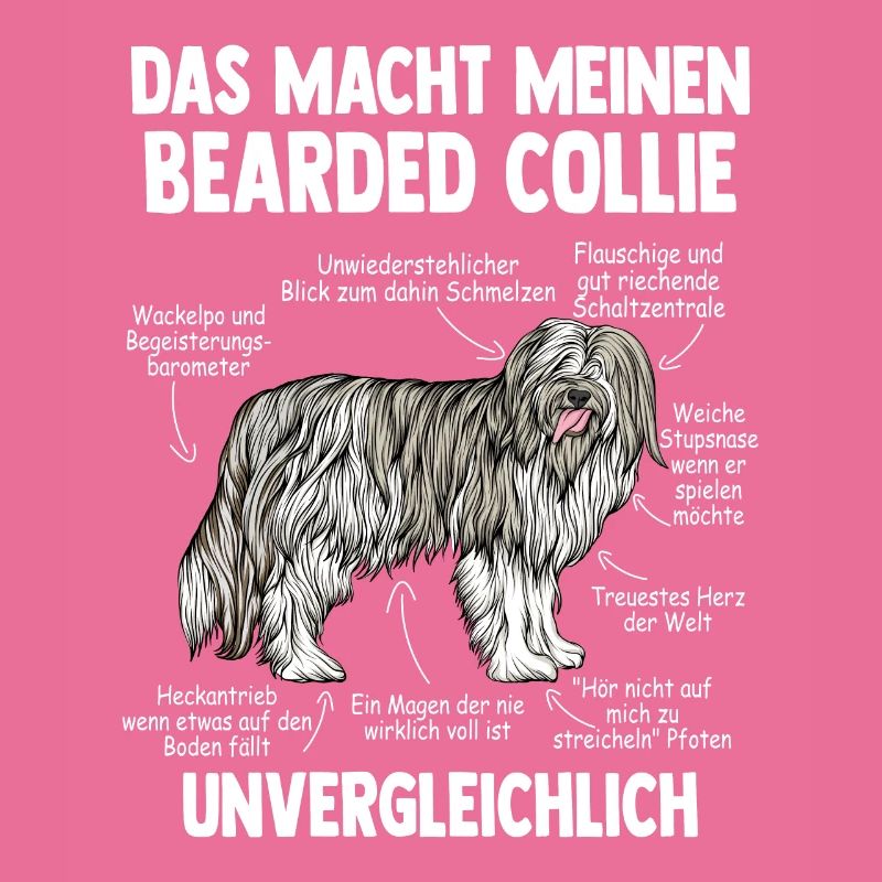 Bearded Collie