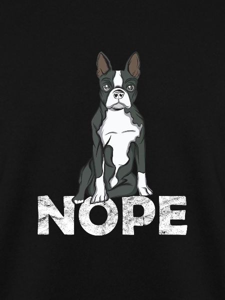 Boston Terrier