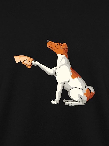 Glatthaar Foxterrier Hund