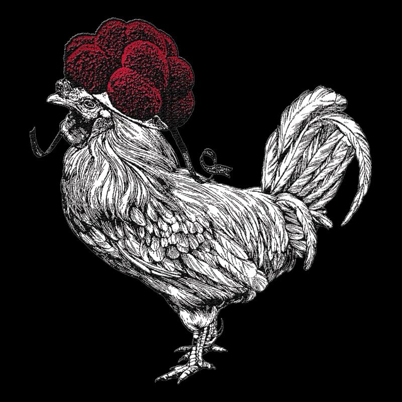 🐓 Fier coq avec Bollenhut 🐓