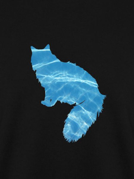 Katze Wasser